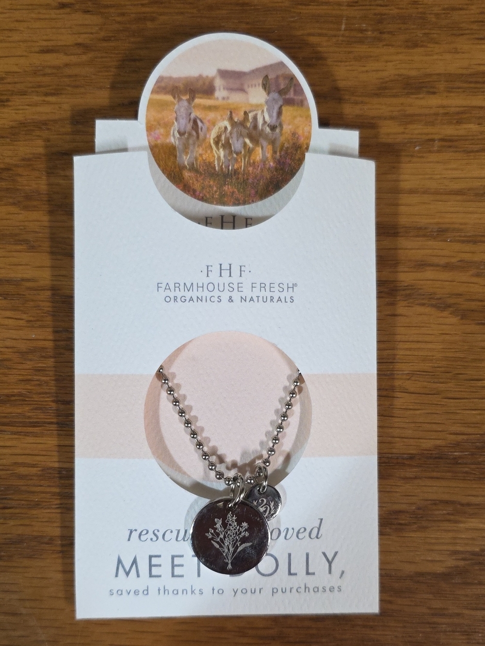 FHF Meet Dolly Silver Charm Necklace